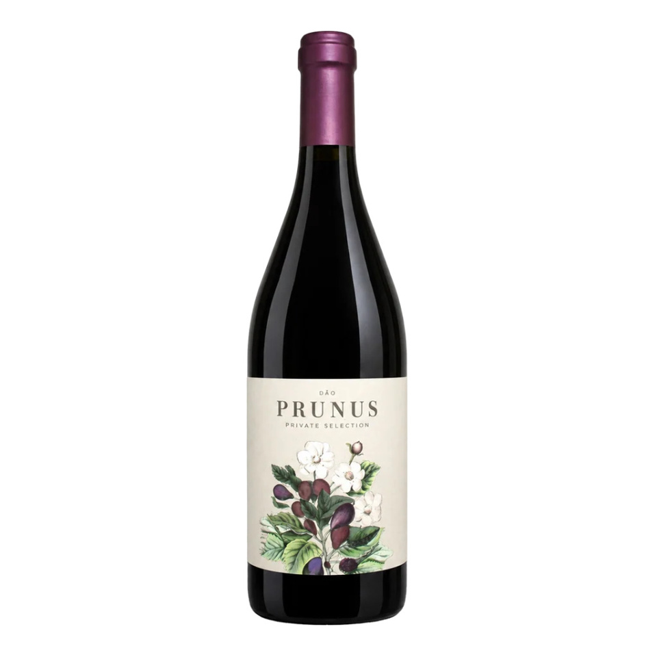 Prunus Tinto